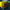 DVNI 315 D4 F4 30