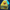 DHN 355 D4 F4 30